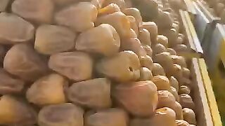 Madina Pak khajoor market