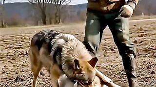 Incredible moment brave.mp4.2026