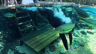 Natural Beauty Amazing Video