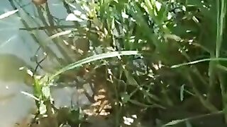 Fishing eel videos..,..