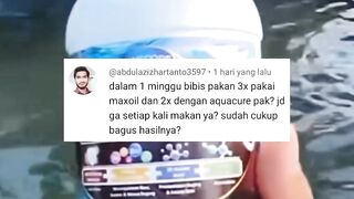 Hanya dalam 3 HARI nafsu MAKAN lele meningkat