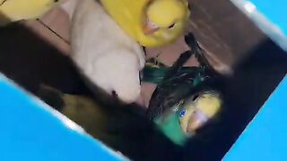Dfhjkxfhn