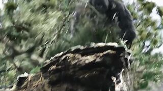 kingkong #shorts #movie #viral
