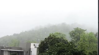 See more information