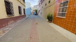 A stray ginger cat threw herself down to get petted.
