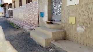 A stray cat with sweet eyes hits everyone who approaches us because it is jealous.