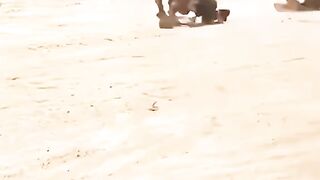 A compilation of funny videos — military fails