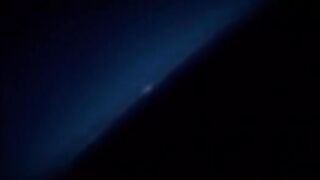 Endangered Species 2021