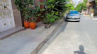 The stray cat slapped her friend in the face when she got too close to her.