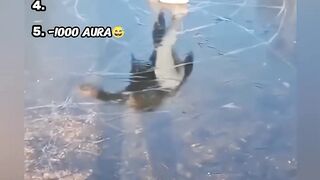 Best 5 Funny Winter Fail Moments ????.