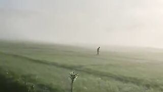 asrm audio nature rice fields mist that is calming