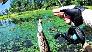 When the Hook Stays Quiet ????