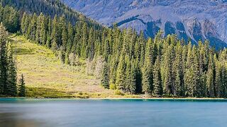 Música relaxante para meditar que acalma- Otimismo e melhorar o humor - Fragmentos #56