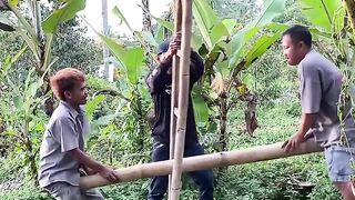 Jungkat-jungkit