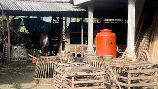 Suasana desa yang asri