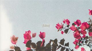 bliss-lofi-hip-hopbeat GRATIS UNTUK PROFESIONAL