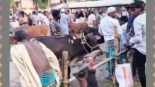 Entah Siapa Yang Salah