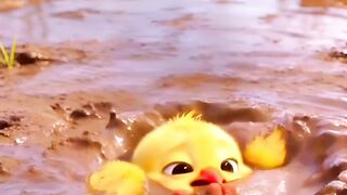 Cute duck in trouble ????