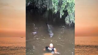 sama sama buaya sedang beradu ilmu