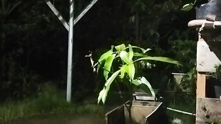 Jeda sejenak dari kepusingan