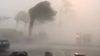 Unbelievable Storm Power | Extreme Wind and Heavy Rain | Nature’s Fury #Storm #ExtremeWeather #HeavyRain #StrongWind #NaturePower