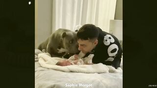 Funniest animal Videos viral in the world