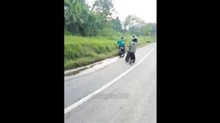 Video viral kocak lucu