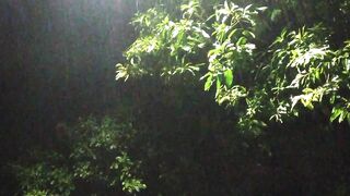 See more information