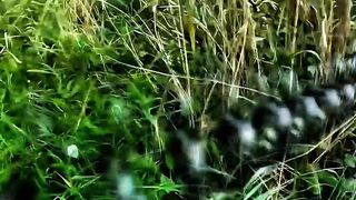 Not About the Catch, But the Calm