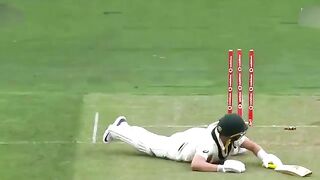 Exciting Cricket DJ