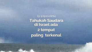 Orang yang paling kaya
