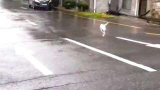 #wind#strongwind#typhoon#badweather#naturedisaster @Nature  @Nature  @Nature @oceanlife-fishing @YunPu