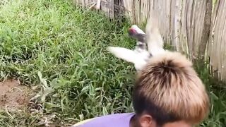 Tiba2 di prenk bocil