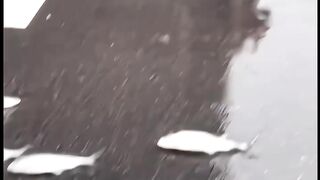 Unusual Flood Footage _ Fish Flowing Through City Roads