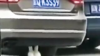 cat crazy 2