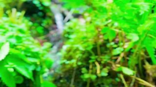 Beautiful nature
