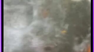 Some poultry are on holiday, along with vegetables and fruits.