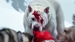Top 10 strong giant dog of America Pit Bull vs ( Red Fox_ Hyena_ Bear_ Leopard_ Wolf ) _dog _animal