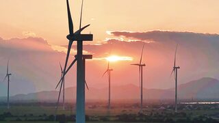 lock mazyportfiesd dutch