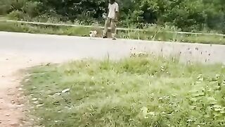 Dikejar ayam