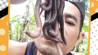 Jangan lupa makan bolo ????