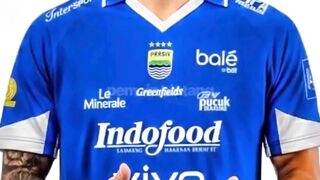 Inilah Karier Mentereng Sergio Castel Pemain Baru Persib Bandung