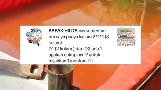 TIPS sukses belajar PEMIJAHAN ikan lele