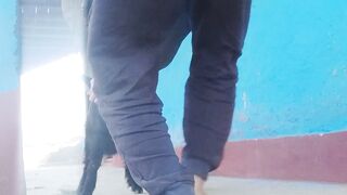 Playing with goats kid