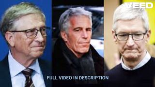 Arquivos epstein doj pdf gotinha da mare portal zacarias