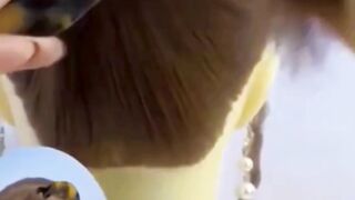 This Hair Tying Trick Will Instantly Elevate Your Look!