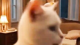 She betrayed jim