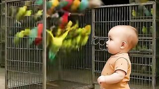 Baby Emotional story #babyemotionalstory #parrotbirds #alonebaby #fyptrendding #sadvideoclip tiktok viral