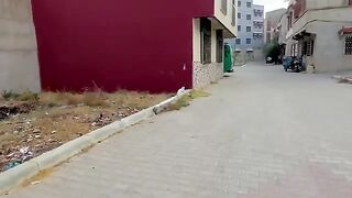 The cat with a black dot on the nose wouldn't stop talking about food.