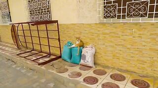 The stray cat went with us to wake up her friendly friend.